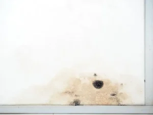 Cladding Repair